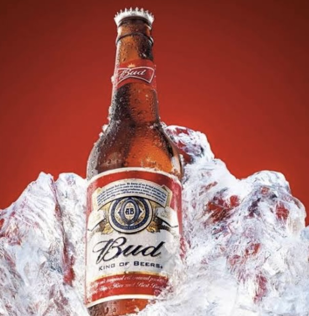Bud 50cl