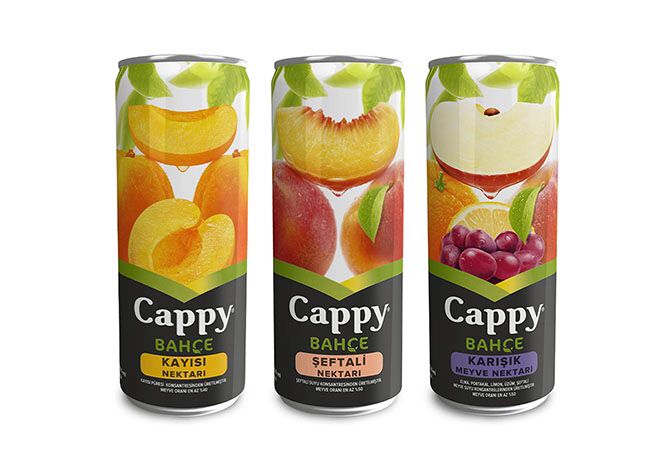 CAPPY MEYVE SUYU 330ml